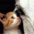 Sherry Dean Ken Adams's profile image