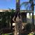 Leticia Vazquez's profile image