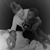 Katie Gasperich's profile image