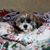 Brenda Hernandez-Harlen's profile image