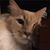 geoff wrenn's profile image