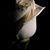 Diane Pickard's profile image