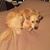 Lisa Chatlak's profile image