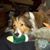 Pamela Pearce's profile image