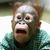 Oleg Alexandrovich's profile image