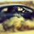 Suleman Khan's profile image