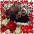 Sandy Roe Miller's profile image