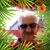 William Morrison's profile image
