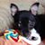 Joyce Davis Godwin's profile image