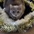 Vicki Seward-Winarski's profile image