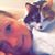 Jessica Borkgren's profile image