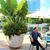 Erick de la Cruz's profile image