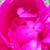 Cathy Short Robinett's profile image