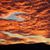 Justin C. Buckner's profile image