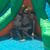 Kate Roberts's profile image