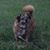 Linda Voshell's profile image
