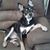 Mickey Kanoy's profile image