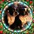 Mary Johns Glancy's profile image