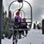 Julia Nish Wignall's profile image