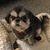Sandy Bassett's profile image