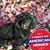 Sally Harris's profile image