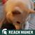 Ramona Clemente's profile image