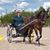 Rose Williams's profile image