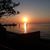 Ann Bellise Thompson's profile image