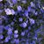 Linda Sloan Dale's profile image