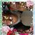 Carol Ann Walker's profile image