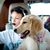 Yvonne Lizette Lung's profile image