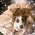 Christina Coules's profile image