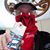 Ron Ristau's profile image