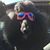 Kim Steen's profile image