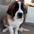 Jana Lundstedt's profile image