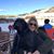 Cheri Van Bebber McGuire's profile image