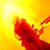 Kenn Parton's profile image