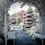Cynthia Whelpley's profile image