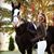 Lone Tree Ranch's profile image