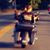 Lacy M Abbott's profile image
