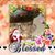 Melba White Rush's profile image