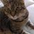 Roxie D.'s profile image