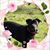 Shelba Frazier's profile image