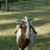 Kimberly Mccord's profile image