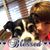 Leana Kelly's profile image
