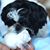 Meng Yin's profile image
