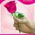 Banumathi Mothilal's profile image