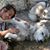 Kristi Krutsinger's profile image