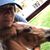 Mellody Nicole Lofquist's profile image