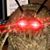 Amber McFrederick's profile image